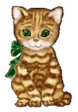 c minouch